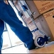 Discounted Moving: Move with  Professionals
