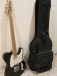 Fender Guitar and Levy's Leather Case