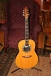 Left Handed Guitars