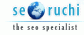 Best SEO training with live project