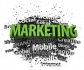 Jobs offered by Expert Online Professionals
