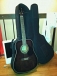 Electric Acoustic Guitar - Carlo Robelli