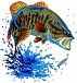 Embroidery digitizing
