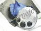 Shower Spy Radio Hidden Camera 1280X960 Motion Detection and Remote Control 16GB