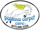 Hire San Antonio's Best Carpet Cleaners in 24 Hours