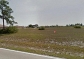 TERRENOS EN LEHIGH ACRES DESDE US$ 7.000