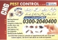 Pest Control And Fumigation Expert Company , Termite Proofing karachi