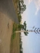 Lands for sale in kalapatti
