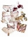  Be Relaxed - we've got you covered with the most comfortable bra ever !!!