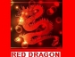 RED DRAGON LIPAT BAHAY / OFFICE TRANSFER SERVICES