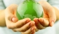 Nebosh in Cochin, trivandrum, Kerala - greenwgroup