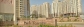DLF Park Place Apartments Gurgaon @ 9711759722