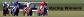 Racing Winners