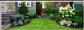 Lawn Care and Maintenance & Landscaping Service Seattle WA