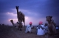 LTC Travel Packages|LTC Packages,LTC 80|Budget Tour Packages India