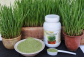 health organic food