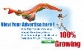 Online Advertising Services - Get your Ads out today-Surat-India