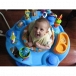 Evenflo ExerSaucer Mega Splash