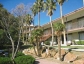 Mountain Shadow Apartments - El Paso, TX Apartments for Rent.