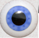 Introduce Capsulorhexis - Quality Cataract and Eye Surgery Instruments by WJ Supply