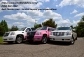 Wedding Limos, Prom Limos, Birthday Limos - we have them all at Best Florida Limo Company