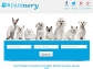 Pets Classifieds | Buy Dogs, Puppies Online | Kittens, Cats for Sale | Breeder Listing Canada