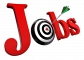 Tanishka Placement Services is a professional placement service provider for all major job roles and