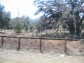 TERRENOS EN OCALA 