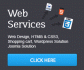 Web Development company India