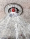 High quality fire sprinkler and pumps
