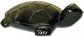 Onyx Turtle