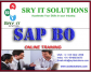 SAP BO ONLINE TRAINING IN HYDERABAD INDIA SRYIT