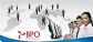 Smart Consultancy India IT Outsourcing Services Grow globally