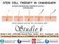 stem      cell treatment in chandigarh