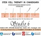 stem cell restora stion treatment in chandigarh
