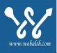 Professional Web Designing Company In Gurgaon