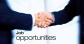 Job Openings in IT/BPO/Pharma/Banking Sector