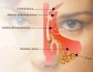 Relief from Sinus misery in only 3 minutes