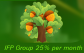 IFP Group 25% per month