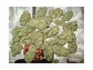 medical helmp for sale