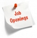We are a professional placement service provider for all major job roles and industries