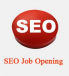 Urgent Require SEO Executive With 3 to 5 Years Experience Night Shift Only