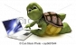 Advertise your business to thousands of customers