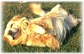 Want the just right dog training tricks for your dogs? â€“ Contact 615-348-1490