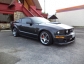 2008 / Ford / Mustang 2dr Cpe GT Premium ROUSH