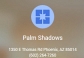 Palm Shadows