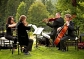 Musical Entertainment