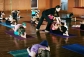 Primary Series of Ashtanga Yoga DVD by Caroline Klebl