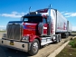 FREE Auto Shipping Quotes from Reputed Auto Movers of USA
