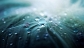 Hdwallpapersz.net: Get Best Free HD Wallpapers For Desktop